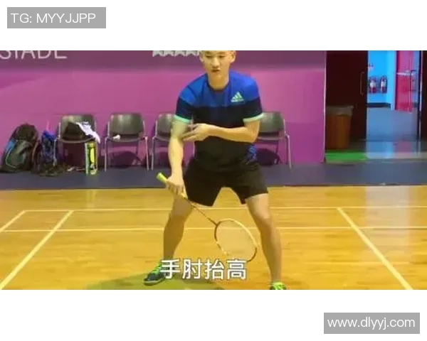 南京羽毛球队区域防守策略分析与战术应用探讨