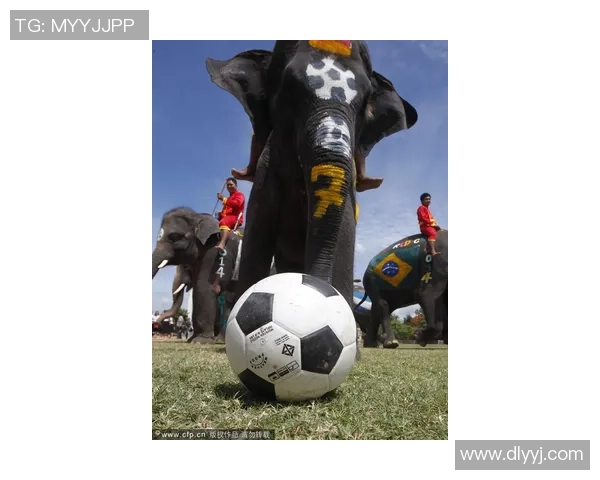 从剪刀石头布到绿茵场的传奇之路揭秘足球明星的成长历程