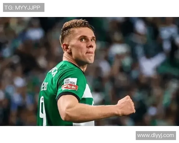 荷兰现役足球明星盘点他们的成就与未来展望